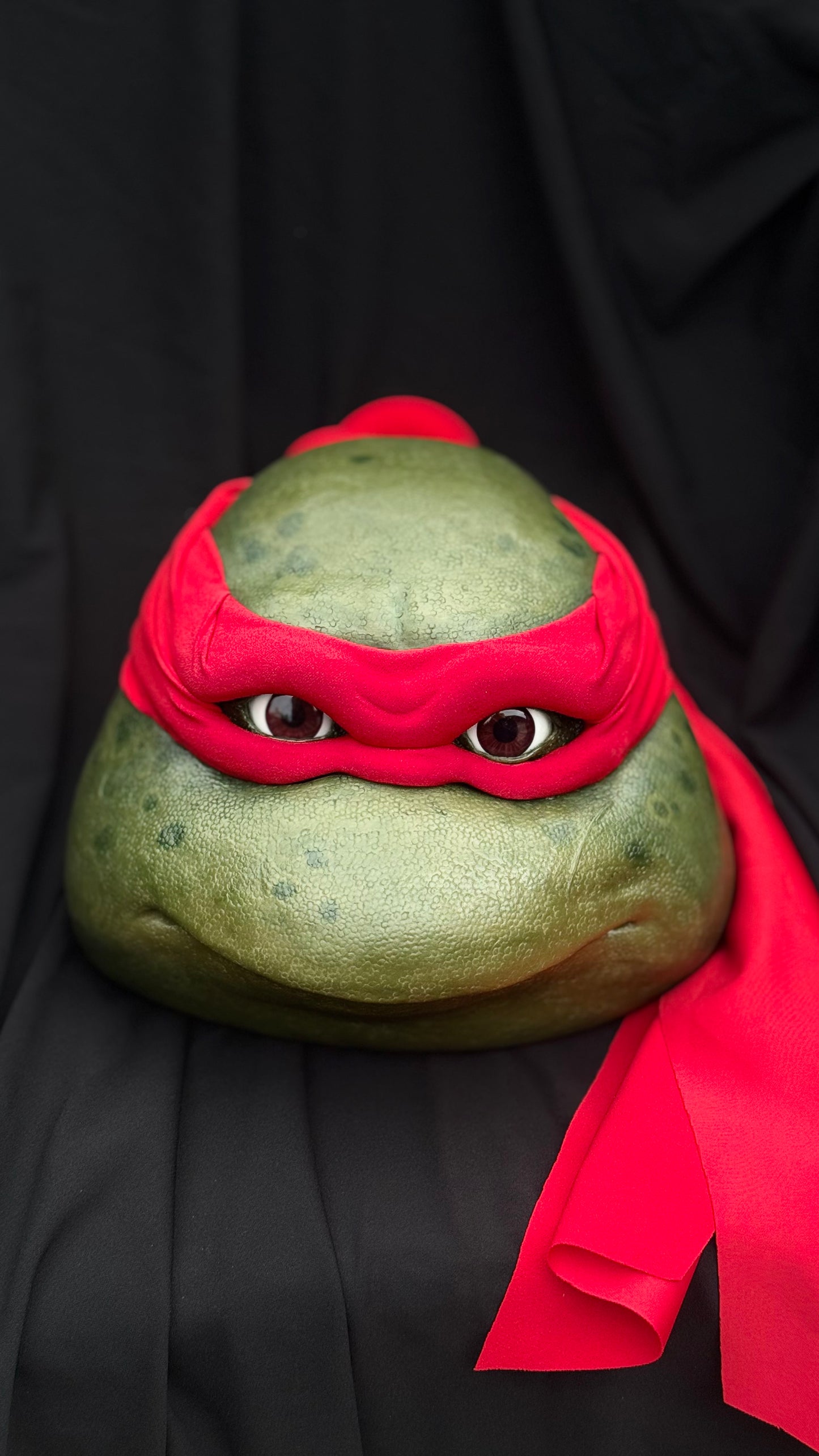 Red Turtle Mask Ooze V2