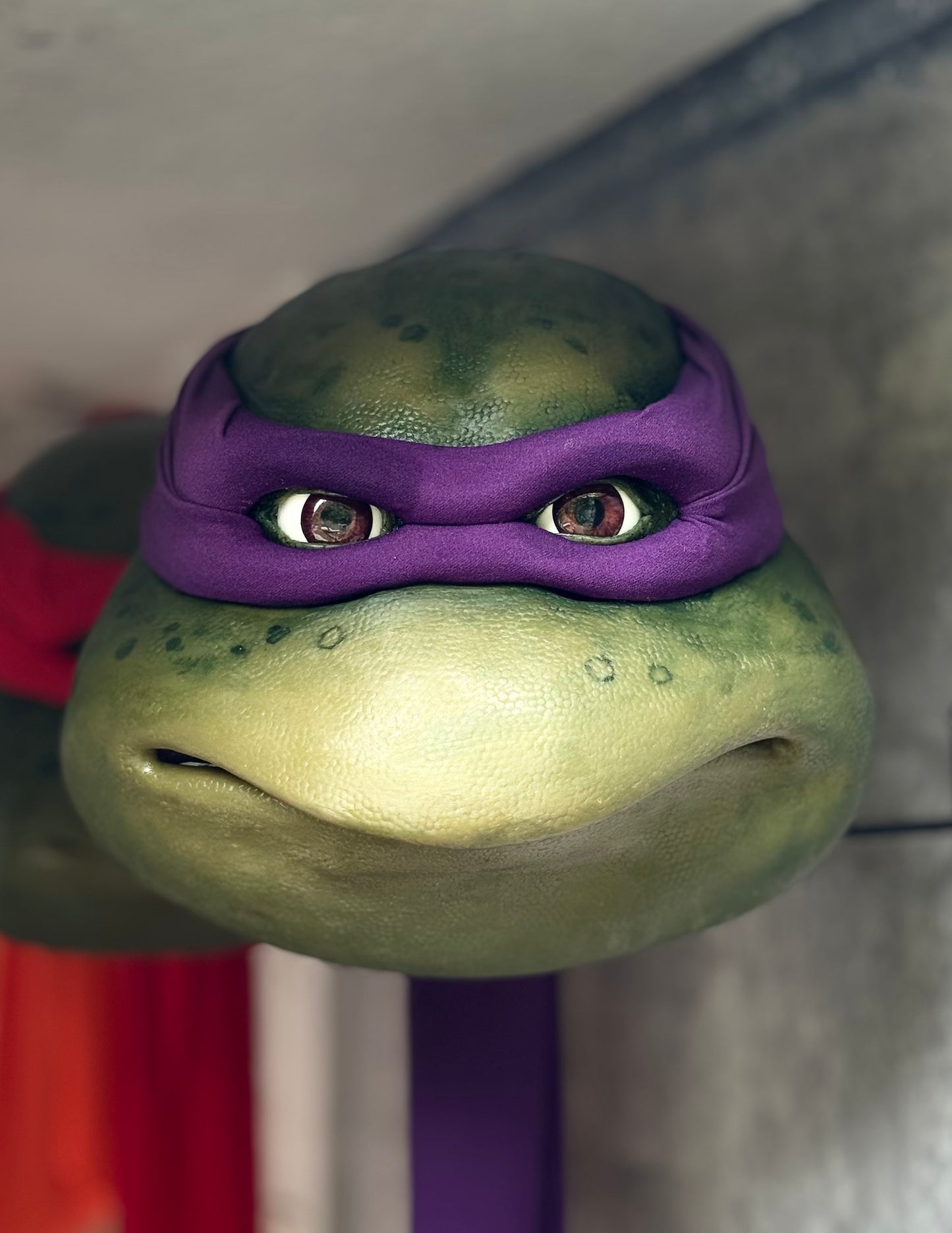 Purple Turtle Mask Ooze V2
