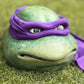 Purple Turtle Mask Original V1