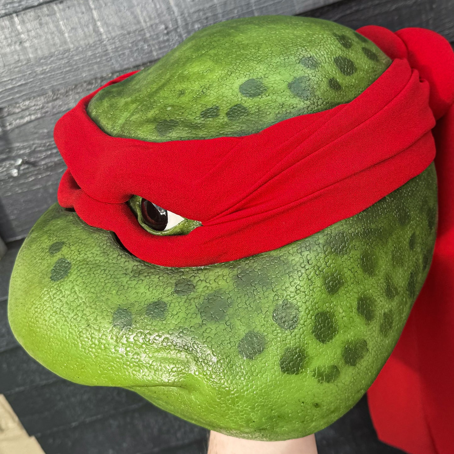 Red Turtle Mask Ooze V2