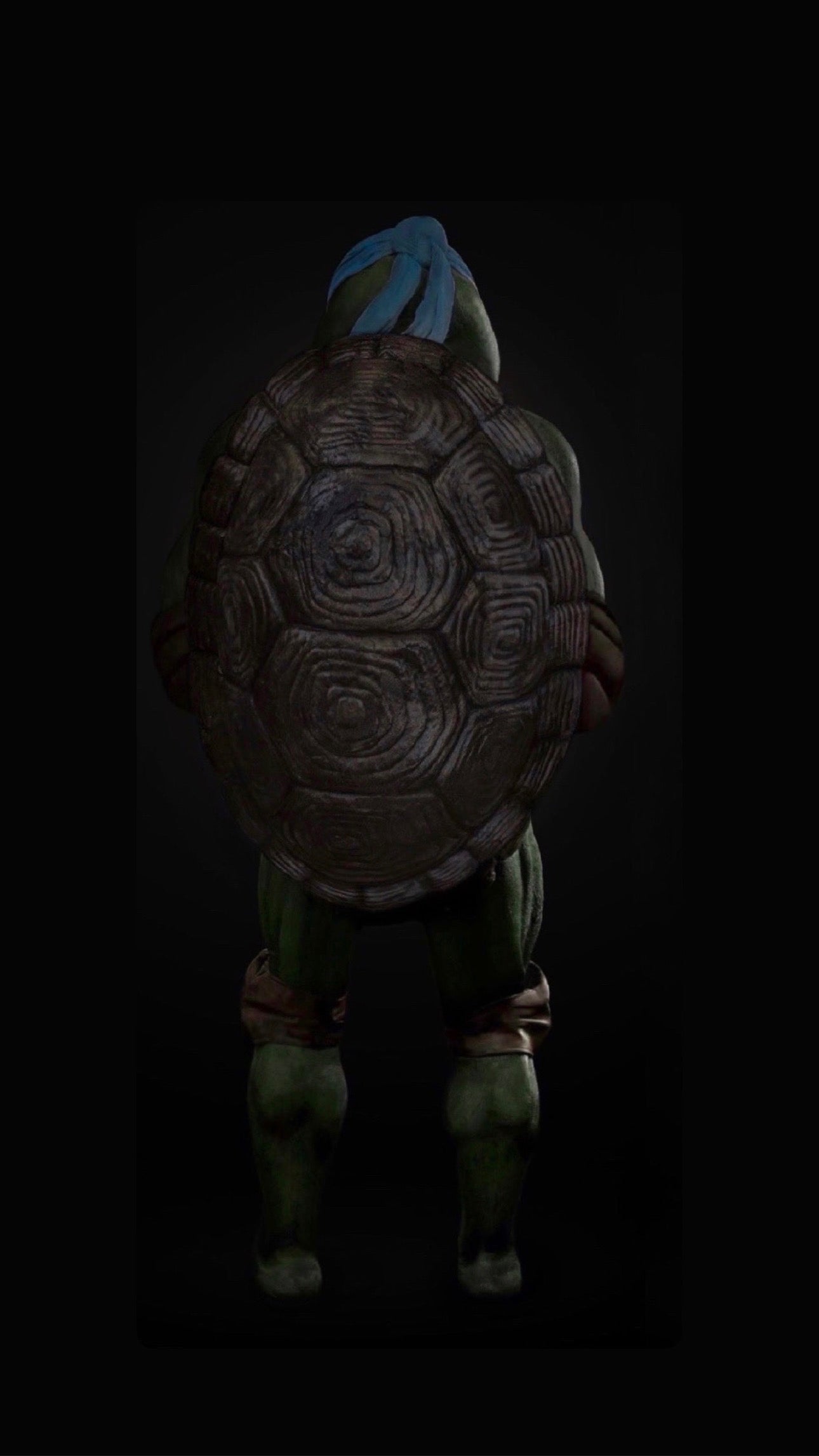 BODY ONLY Turtle Suit 2025 Pre-Order