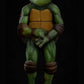 BODY ONLY Turtle Suit 2025 Pre-Order