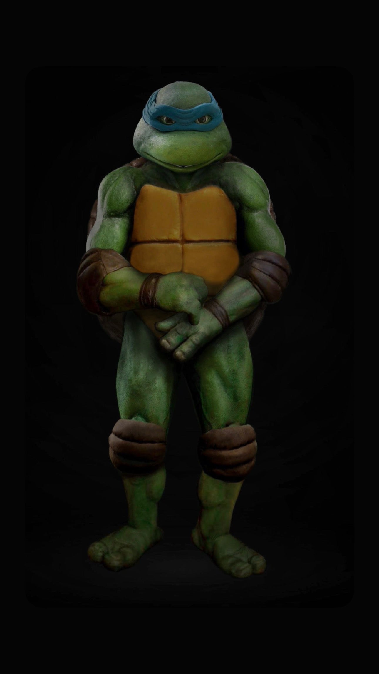 BODY ONLY Turtle Suit 2025 Pre-Order