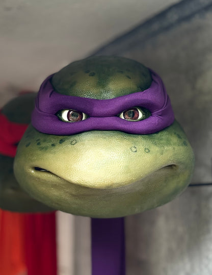 Purple Turtle Mask Ooze V2