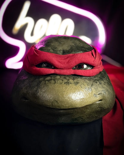 Red Turtle Mask V1 (1990)