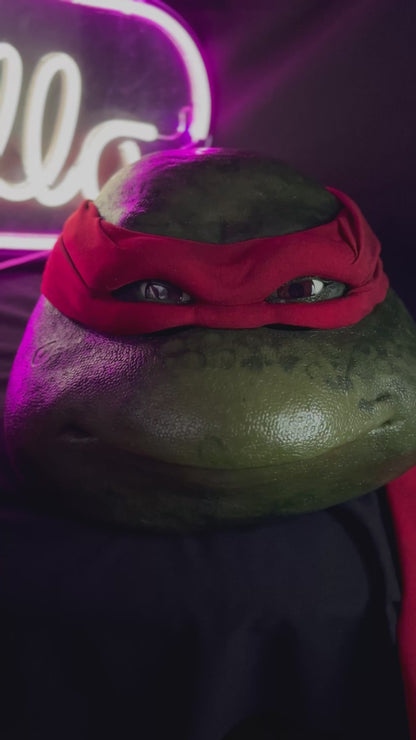Red Turtle Mask V1 (1990)